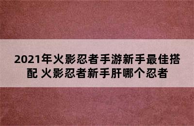 2021年火影忍者手游新手最佳搭配 火影忍者新手肝哪个忍者